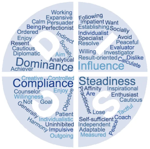 profile disc personality types